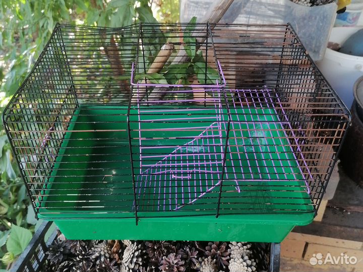 Клетка для грызунов бу