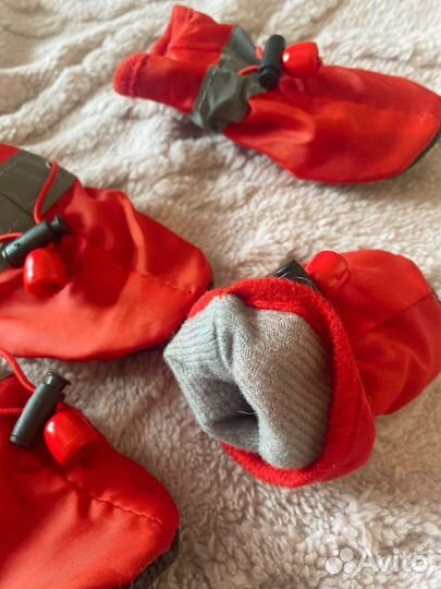 Ботинки тонкие для собак