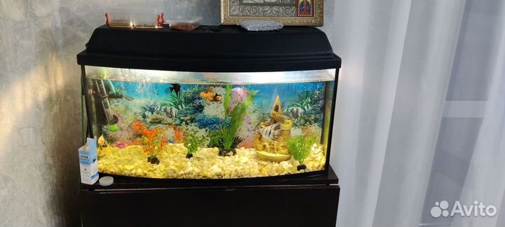 Аквариум