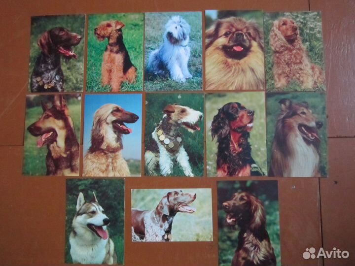 Открытки СССР