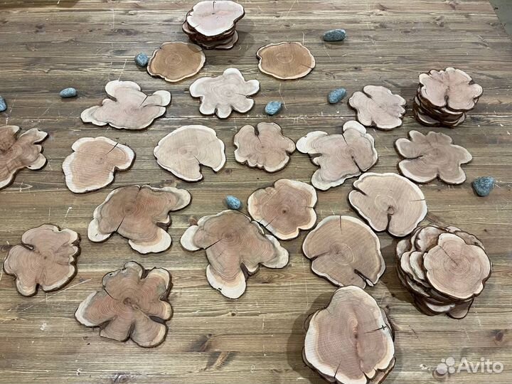 Спилы ароматного сибирского можжевельника 4-32 см