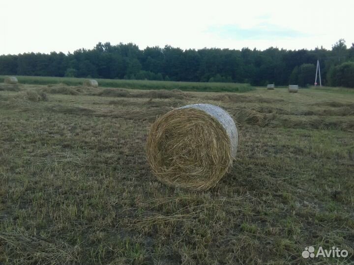 Сено в рулонах