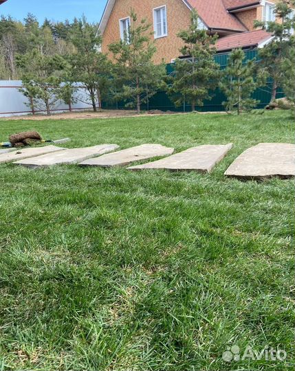 Рулонный газон / под ключ