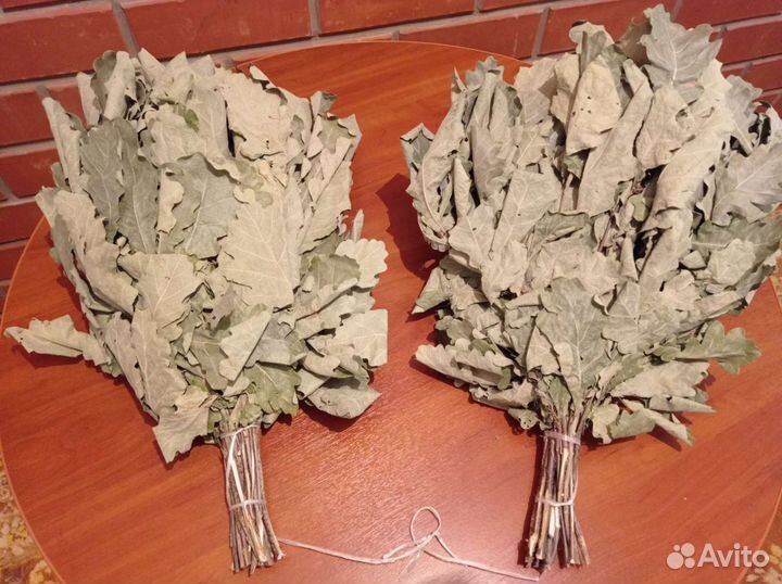 Продам дубовые веники