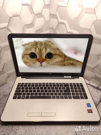 Белоснежный HP c SSD/1000GB/intel/8Гб Озу/Офис