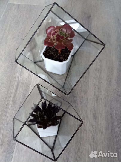 Ваза для флорариума