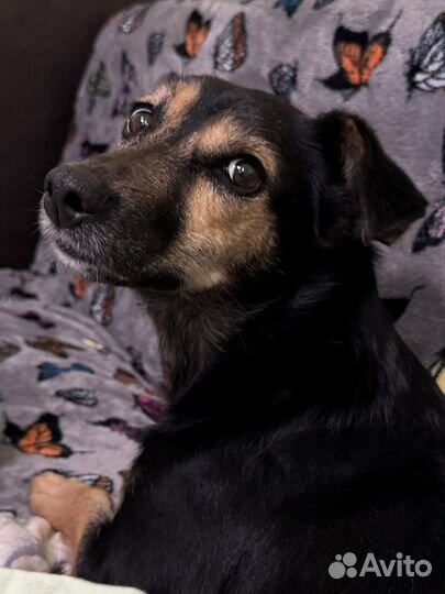 Найдись поскорее единственный друг