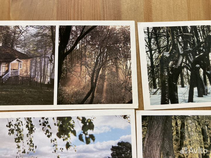 Приют спокойствия, трудов и вдохновенья