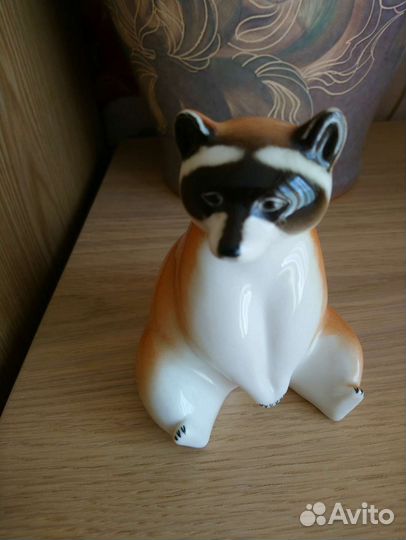 Енот Сидячий лфз ифз лфз