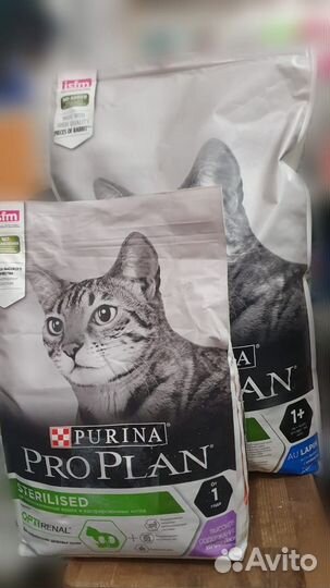 Влажный корм для кошек Pro Plan