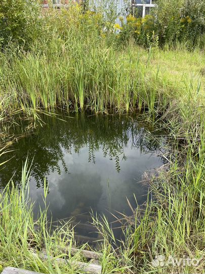 Столярная мастерская