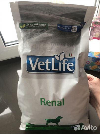 Лечебный корм для собак