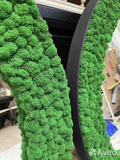 Стабилизированный мох