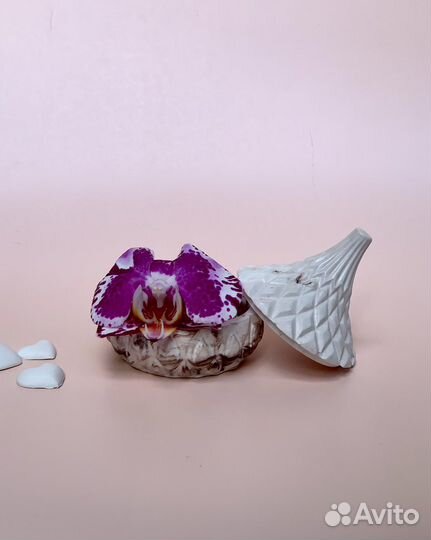 Шкатулка из гипса / подсвечнник с крышкой