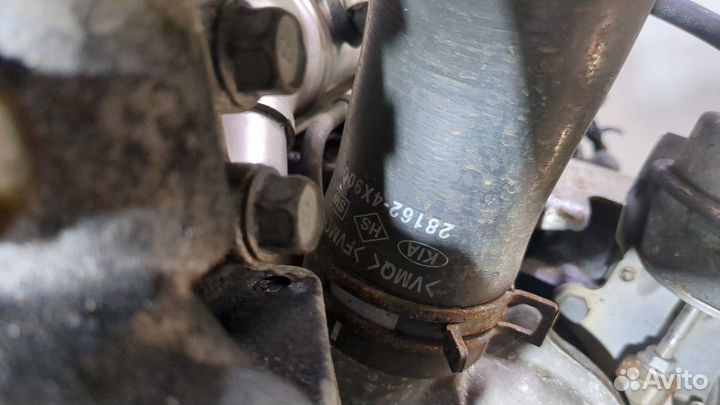 Двигатель киа Carnival, 2008