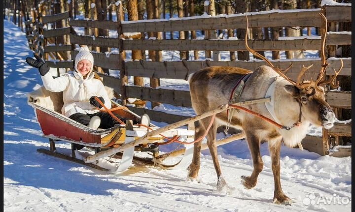 Вся Карелия за 3 дня из Москвы