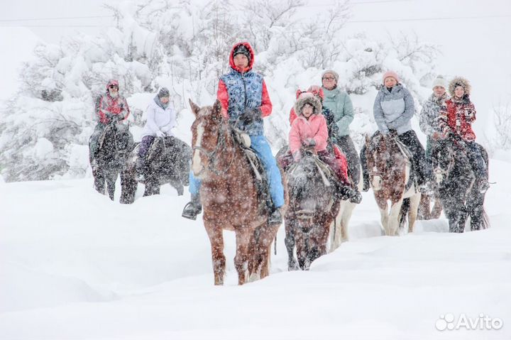 Предложение услуг