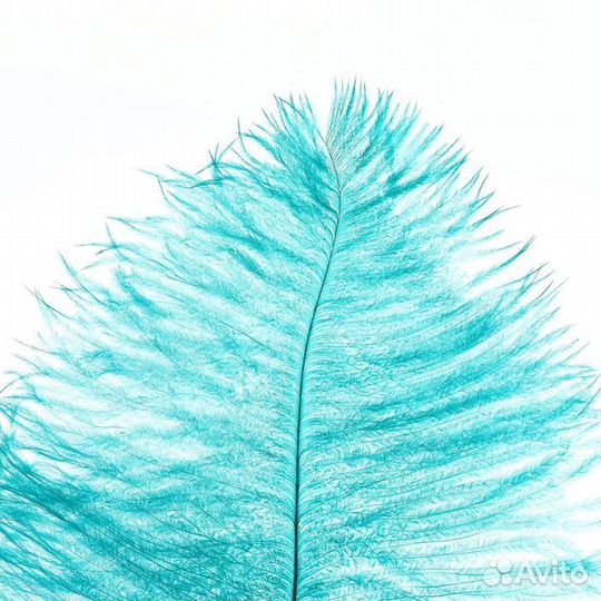 Перо для декора