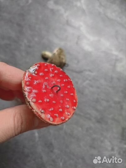 Грибы керамика