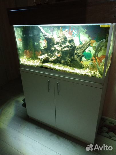Аквариум
