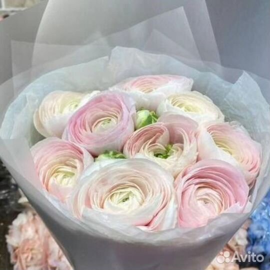 Ранункулюс цветы