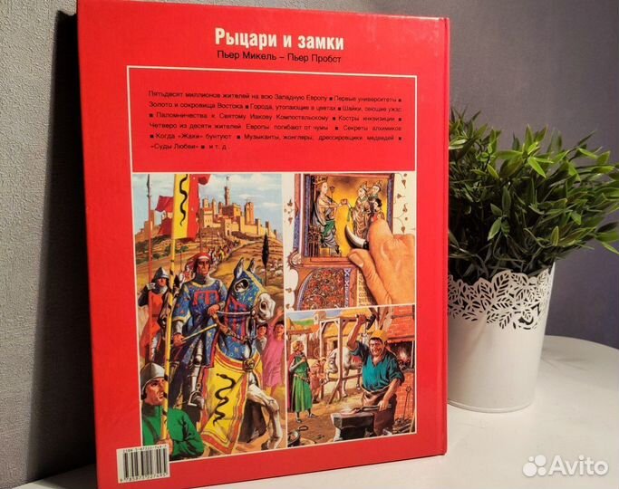 Рыцари и замки