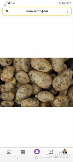 Продам картофель с доставкой