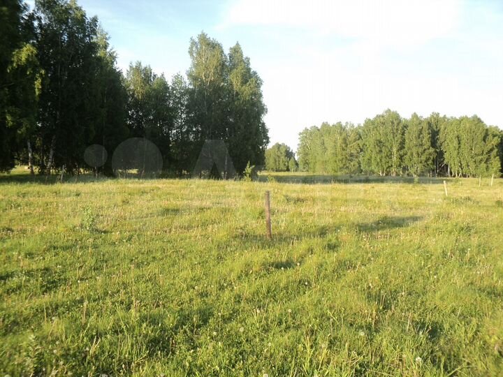 Участок 10 сот. (ИЖС)