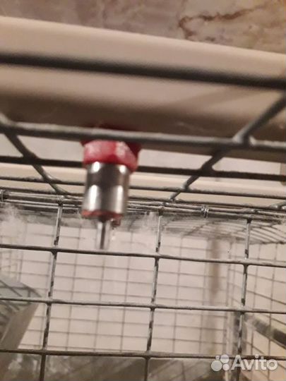 Клетки для кроликов