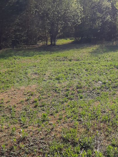 Участок 5,6 га (СНТ, ДНП)