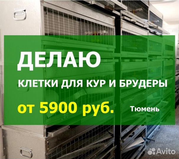 Клетки для кур и брудеры