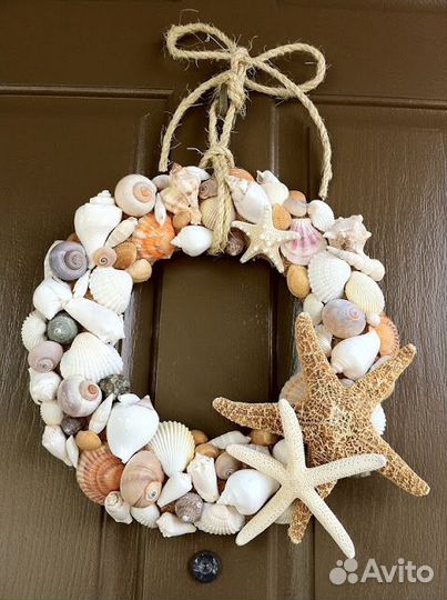 Морские ракушки