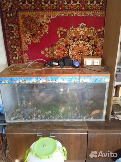 Аквариум