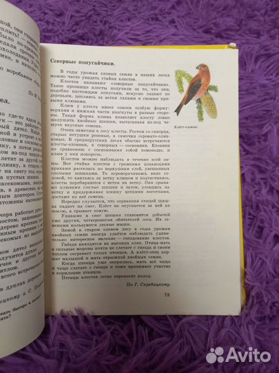 С любовью к природе