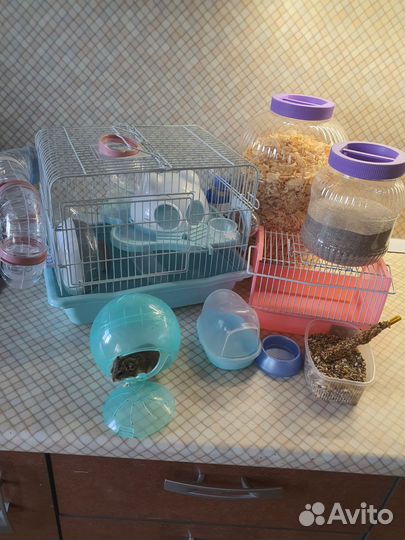 Клетка для джунгарского хомяка с хомяком