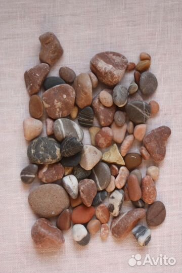 Ракушки, камушки, песок