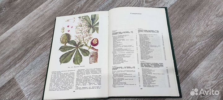 Лекарственные растения СССР и их применение