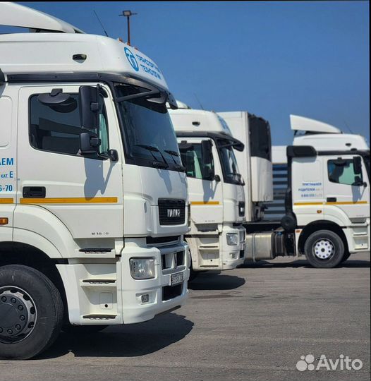 Дальнобойщик