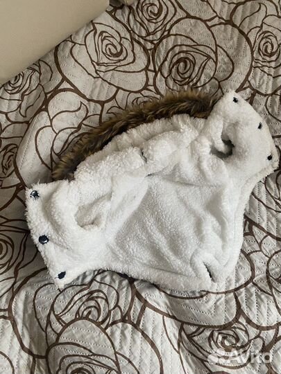 Куртка для собак мелких пород