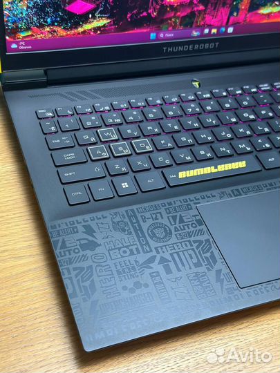 Thunderobot / RTX 4080 / i9-14 / 16.1