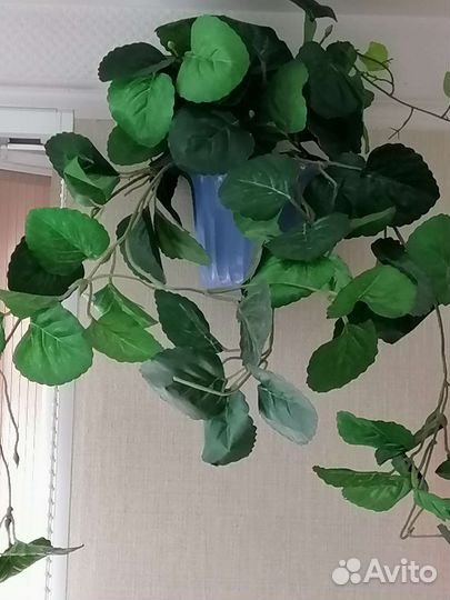 Искусственные цветы 2 штуки цена за всё