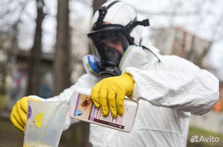 Уничтожение клопов тараканов грызунов