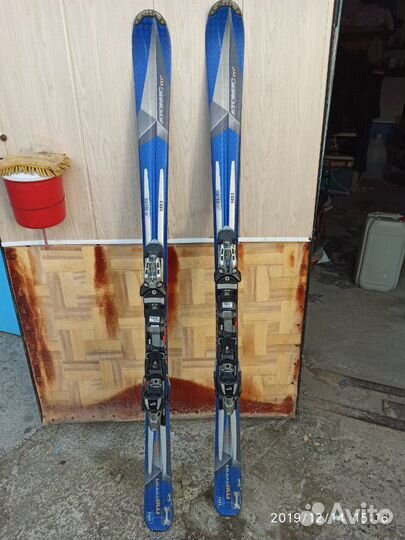 Горные лыжи