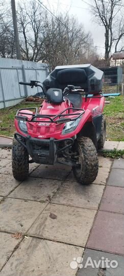 Arctic Cat ATV 300