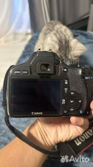 Фотоаппарат canon eos 550d