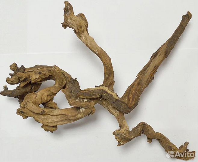 Коряги дрифт вуд