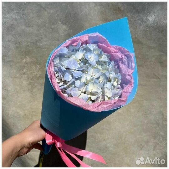 Доставка цветов. Гортензии