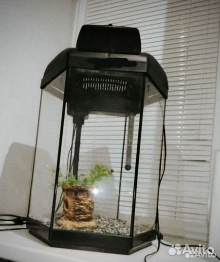 Аквариум на 60 литров