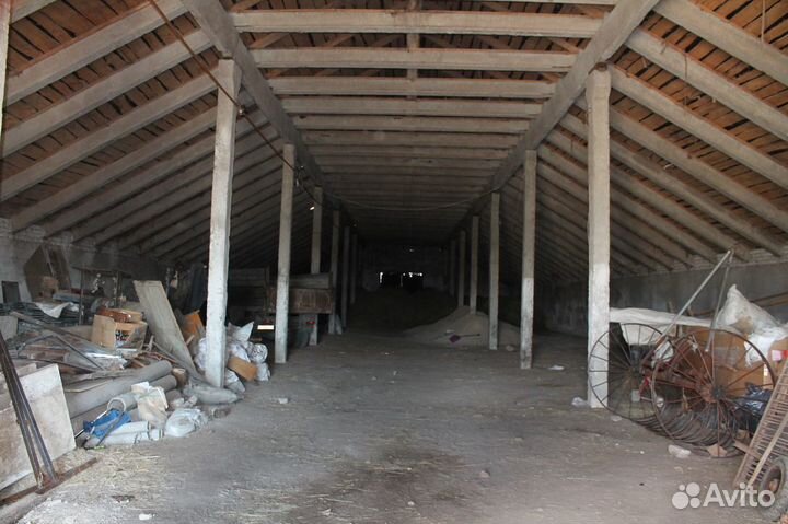 Действующая ферма