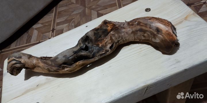 Натуральная каряга для аквариума